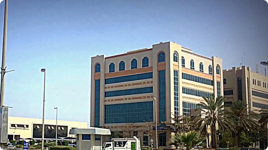 uae-saif-zone-1